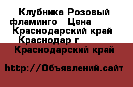 Клубника Розовый фламинго › Цена ­ 100 - Краснодарский край, Краснодар г.  »    . Краснодарский край